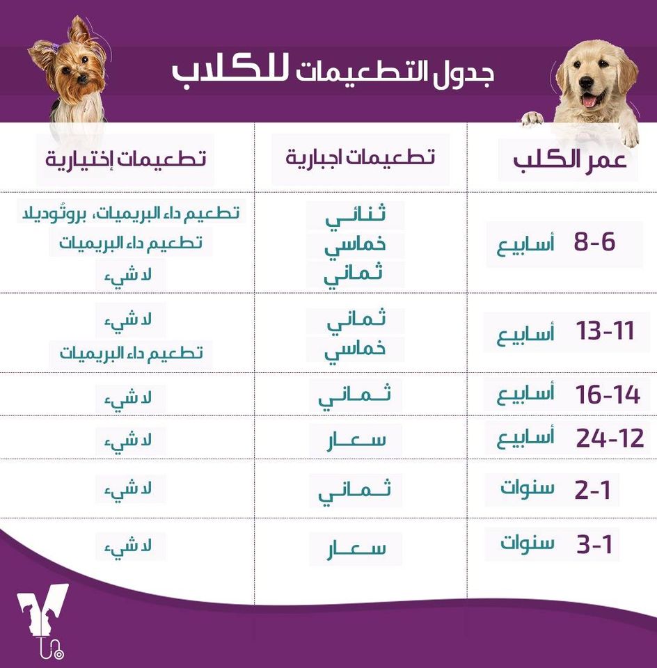 أهم التطعيمات لتحصين كلبك 2021
